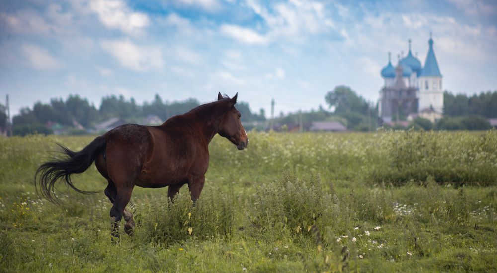 Photograph by Полина Веселова