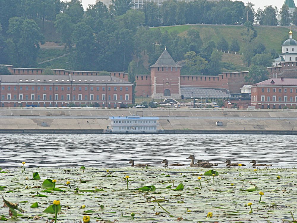 Photograph by Лада Кляузина