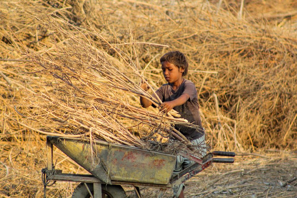 Photograph by Ghulam Murtaza Lashari