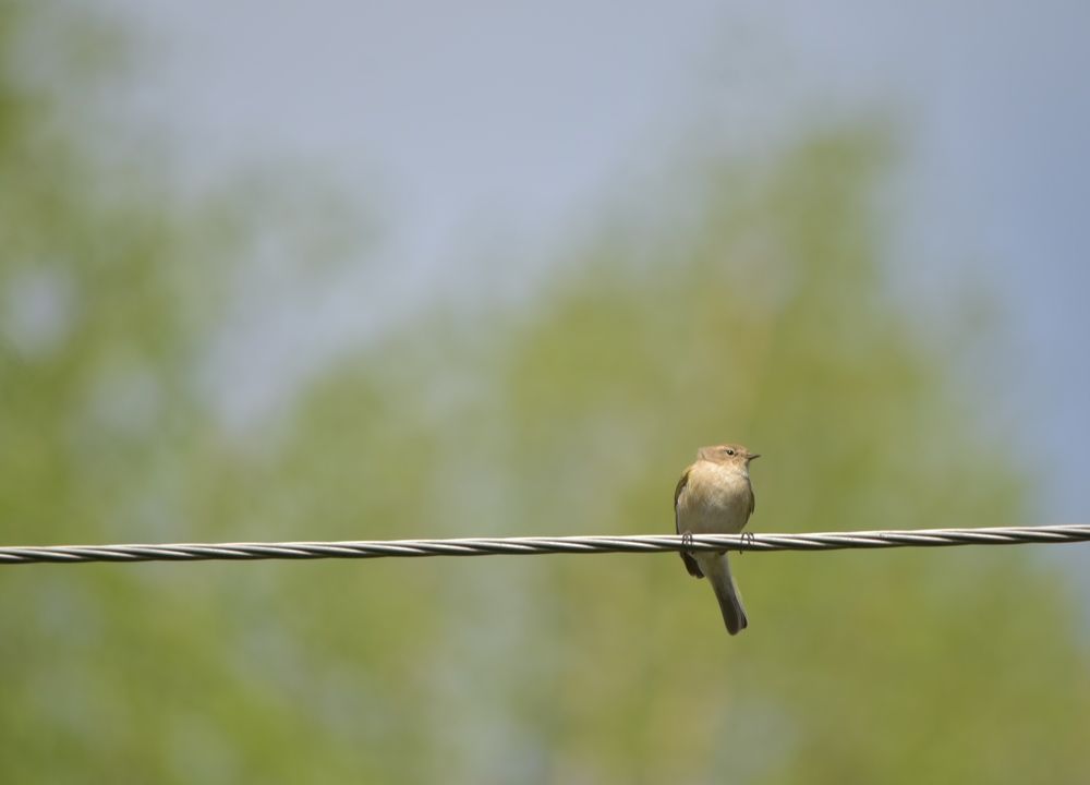 Photograph by Наталья Сорокина