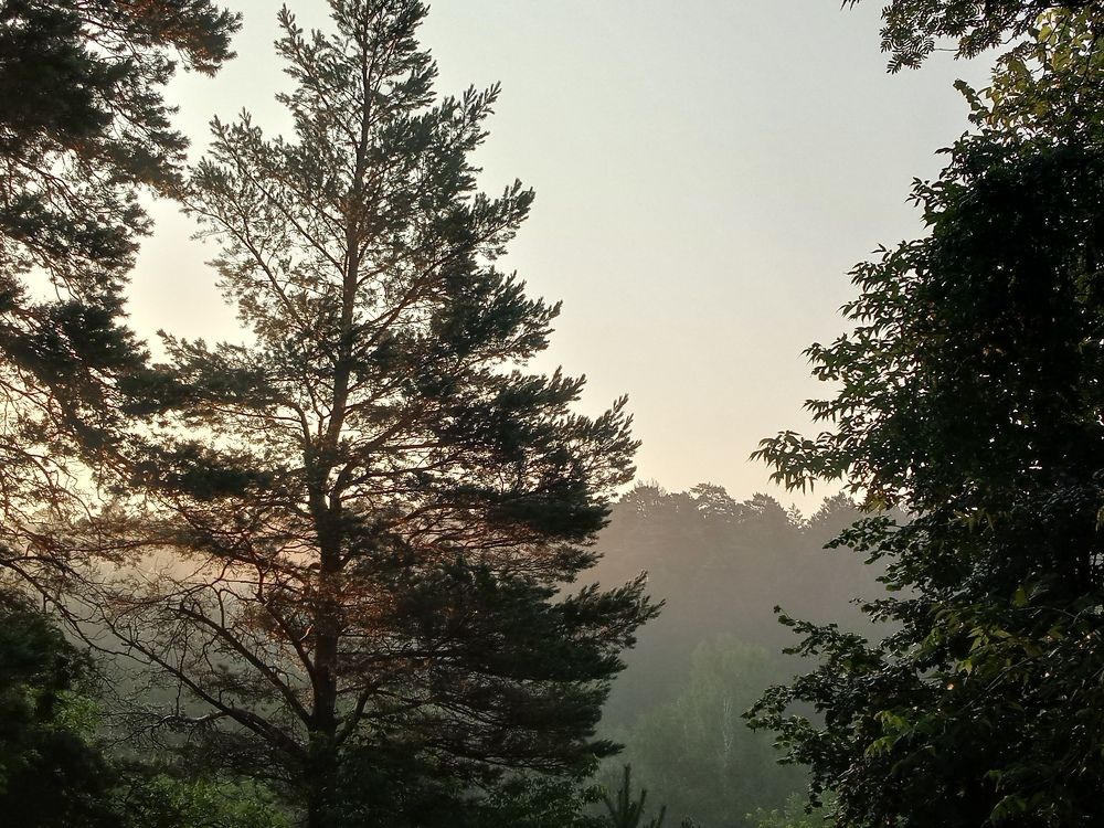 Photograph by Екатерина Евгеньевна