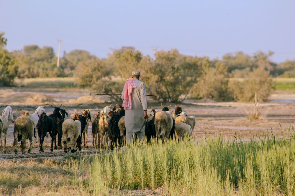 Photograph by Ghulam Murtaza Lashari