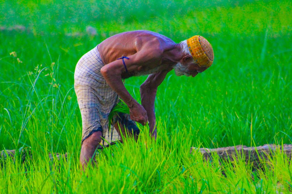 Photograph by Ghulam Murtaza Lashari