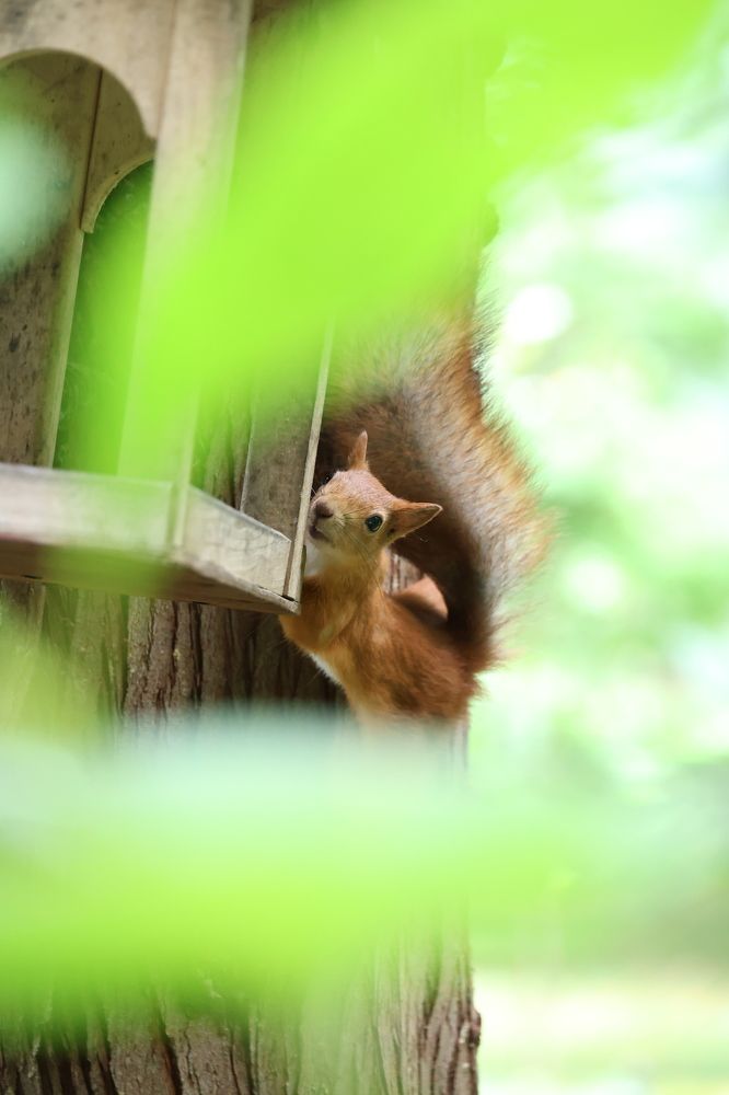 Photograph by Ольга Кириллова