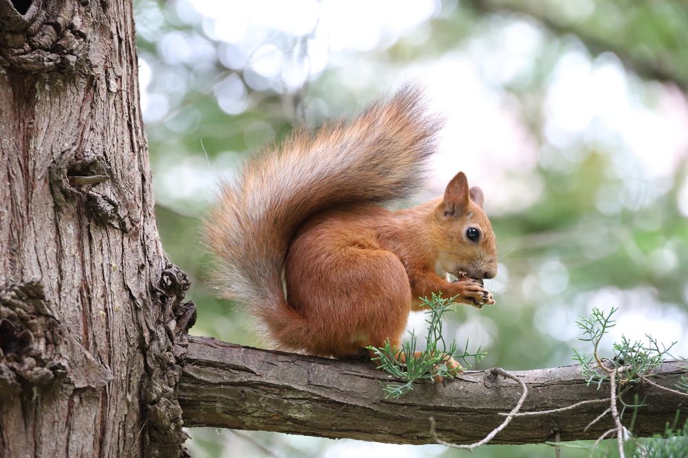 Photograph by Ольга Кириллова