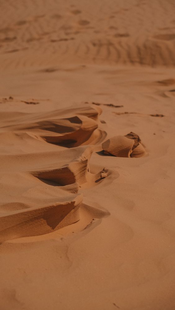 Photograph by Ирина Баринова