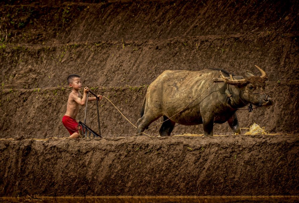 Photograph by Hanh P. T. Pham