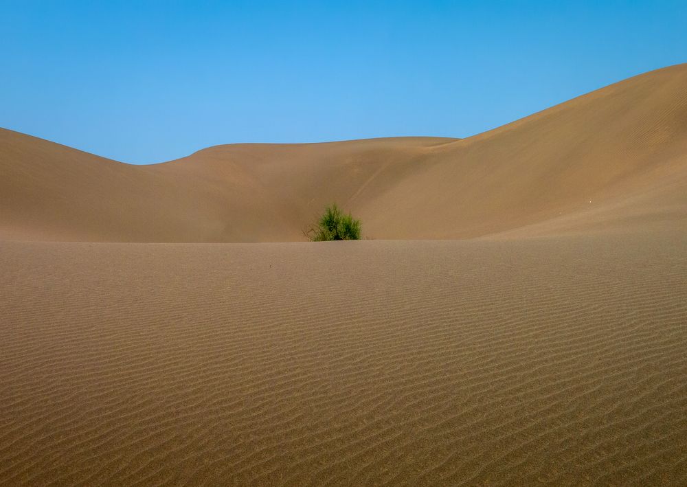 Photograph by Riahi Hosein