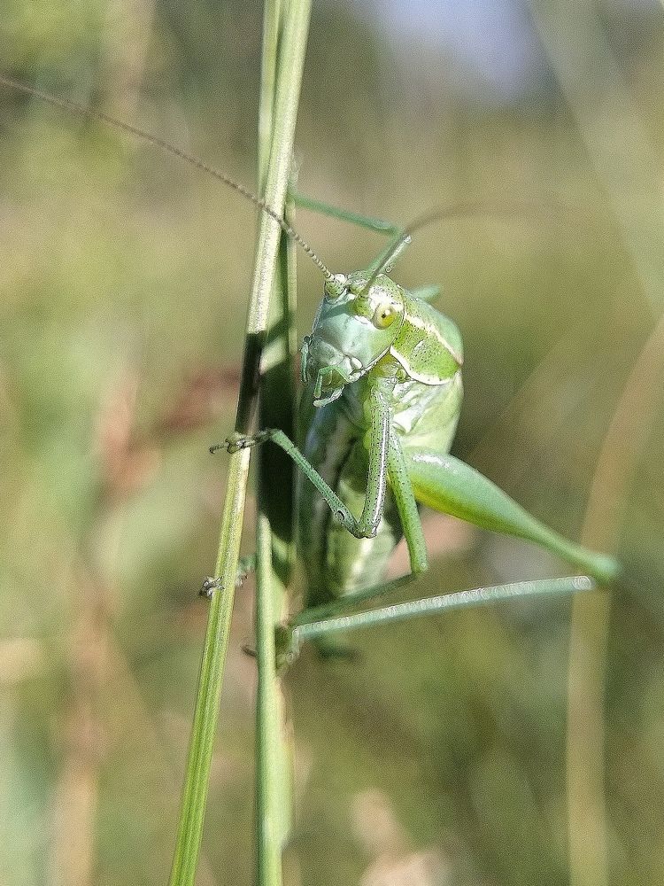 Photograph by Елена Павлова