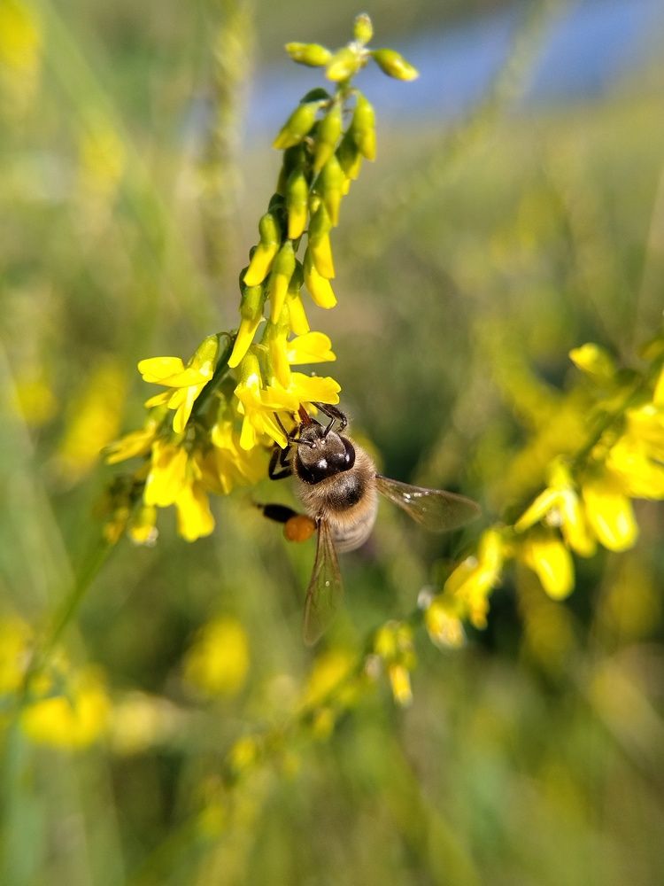 Photograph by Елена Павлова