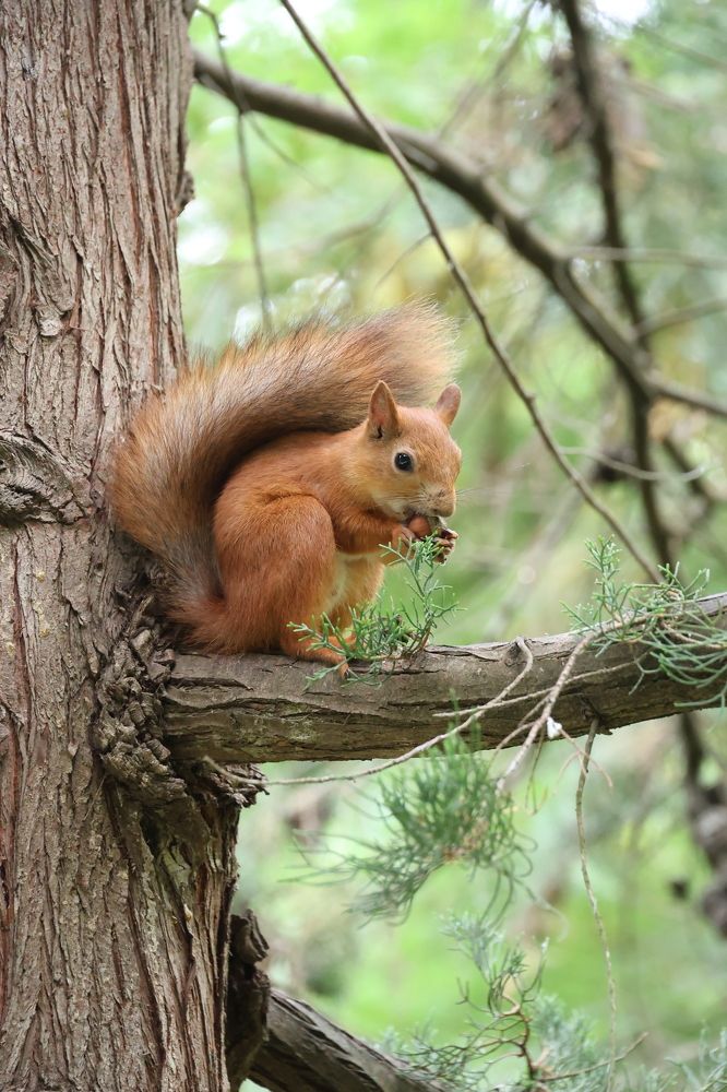 Photograph by Ольга Кириллова