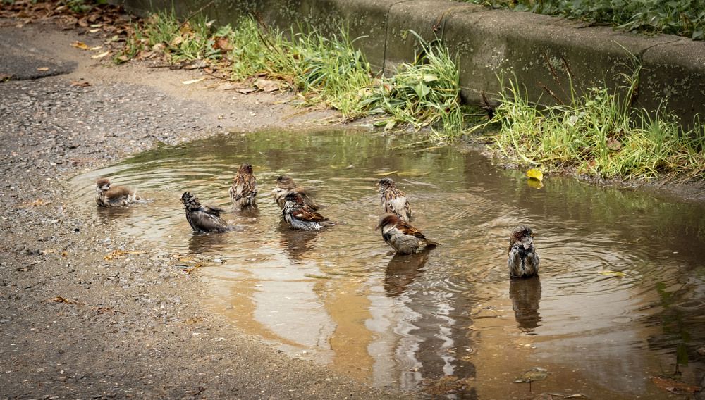 Photograph by Анна Панеева