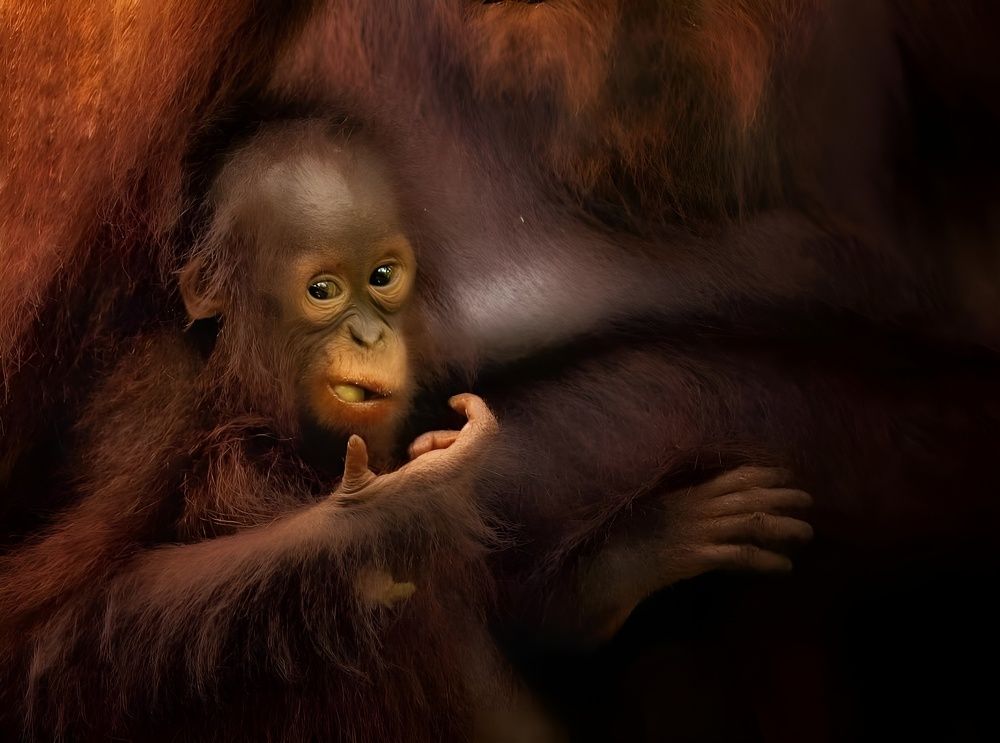 Photograph by Sathyan KM