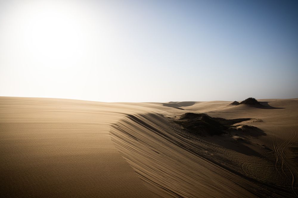 Photograph by Кирилл Мазазолин