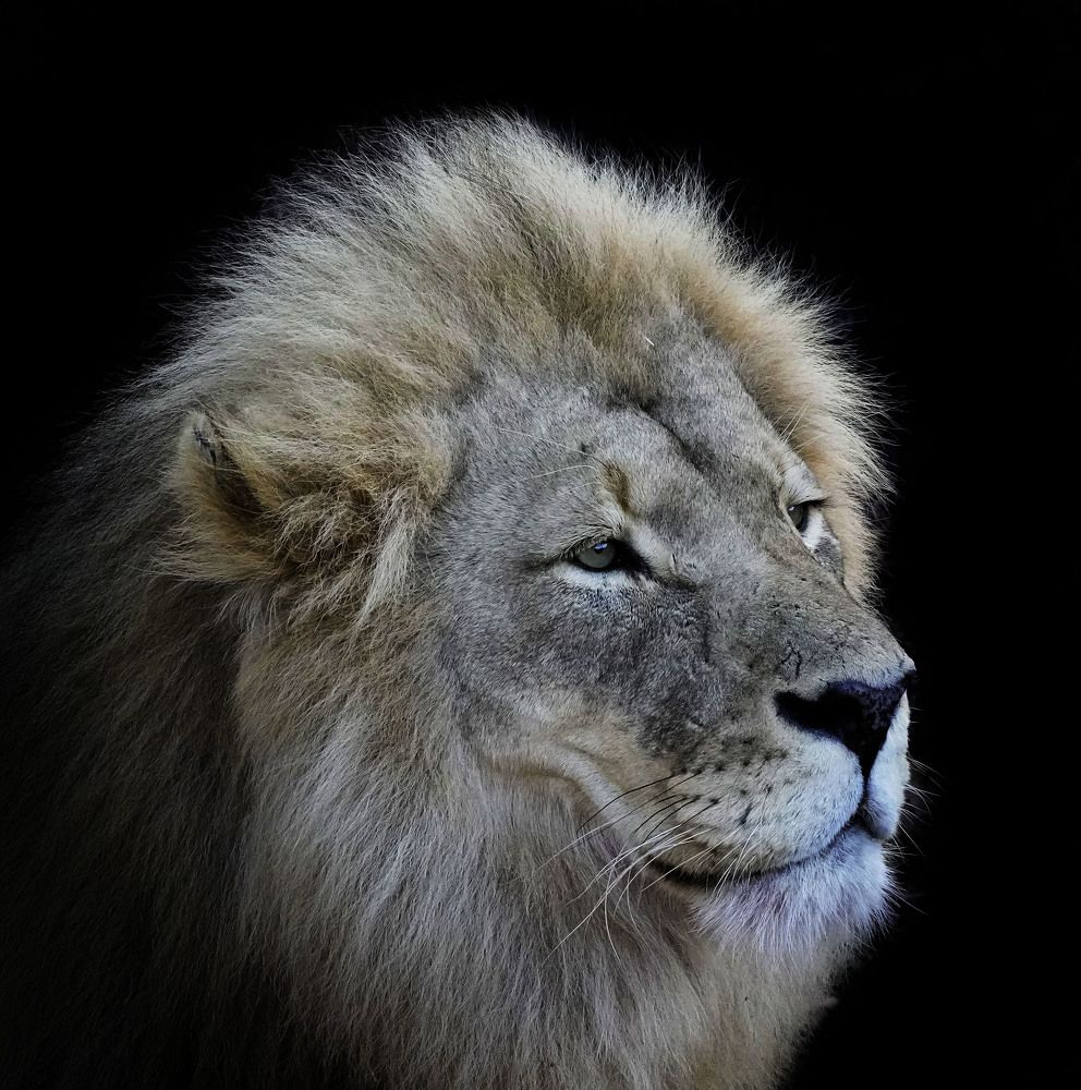 Photograph by Raed Victor Saad