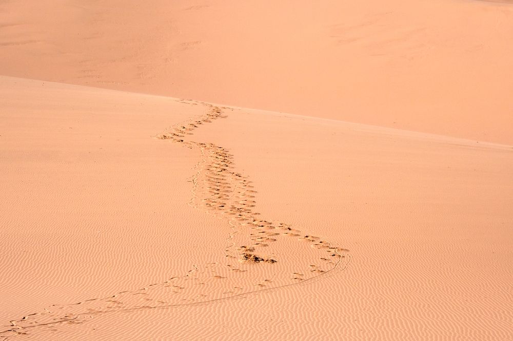 Photograph by Наталия Шинкевич