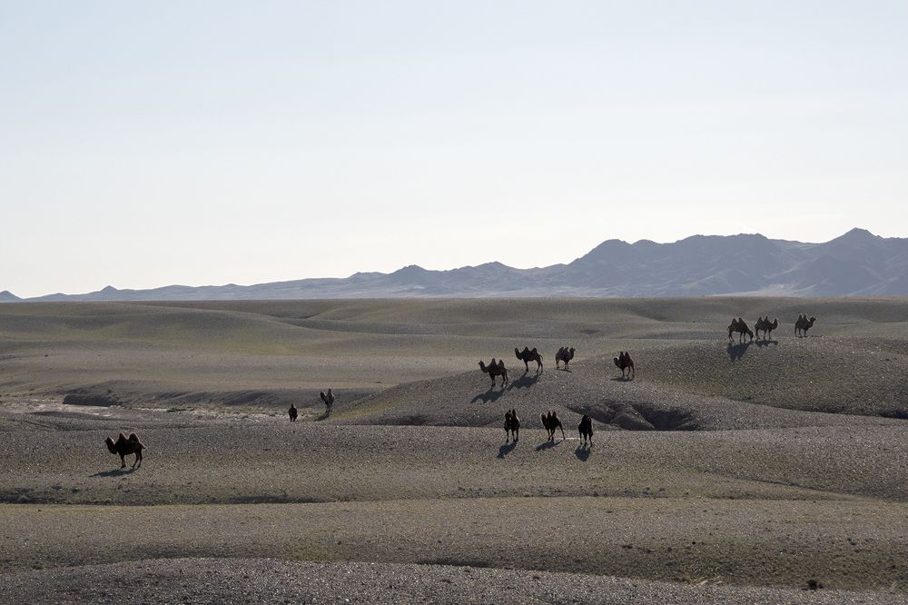 Photograph by Наталия Шинкевич