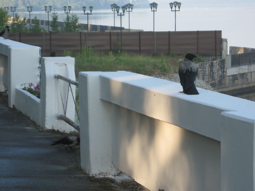 Photograph by Наталия