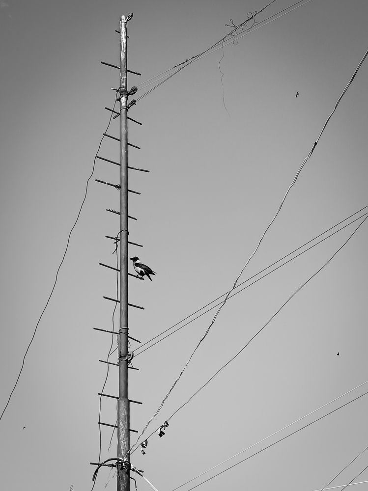 Photograph by Margarita Presidentova