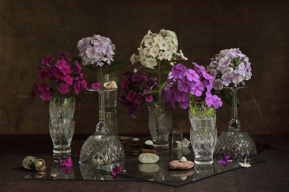 Фотография автора ТАТЬЯНА ЗАХАРОВА