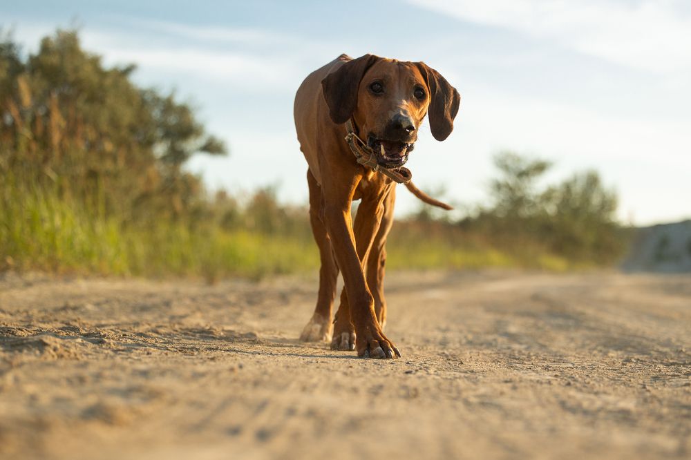 Photograph by Марина Елисейкина