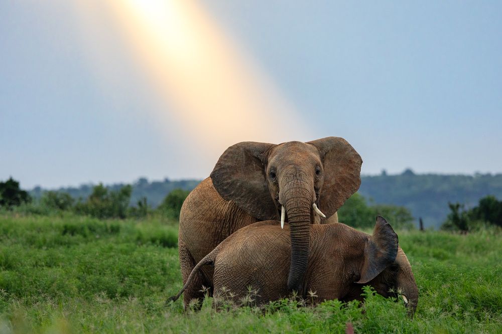 Photograph by Rémi Vacher