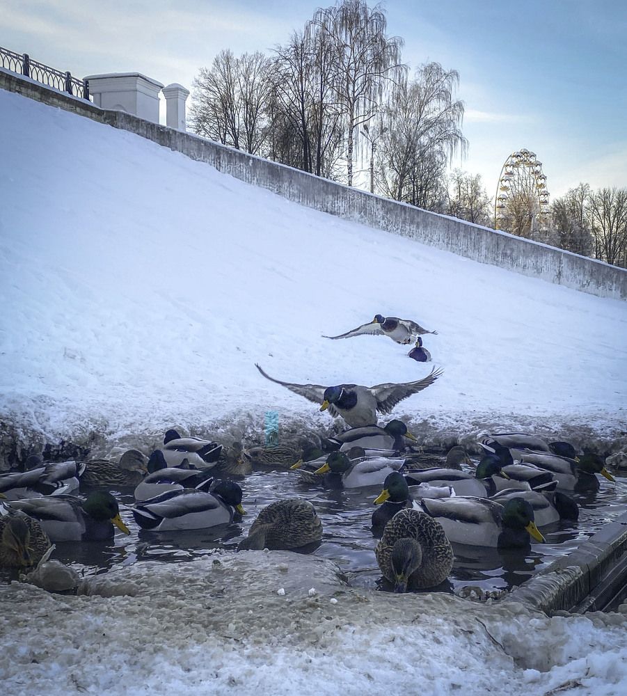 Photograph by Анна Панеева