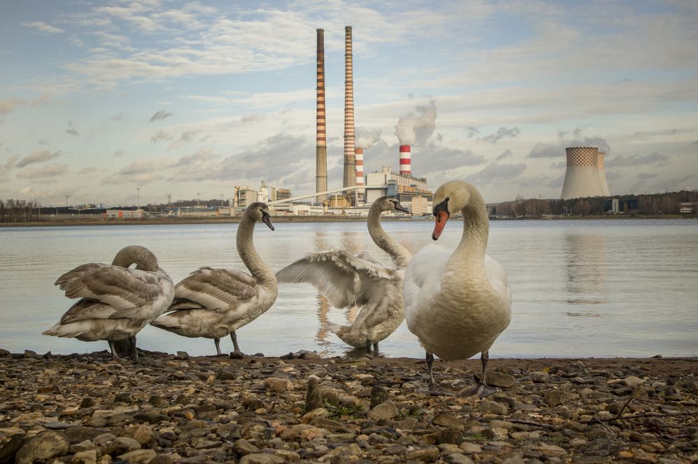 Photograph by Damian Cyfka