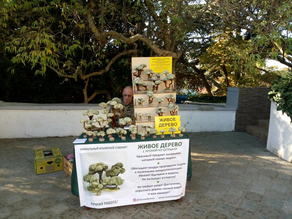 Photograph by Татьяна Пальчикова