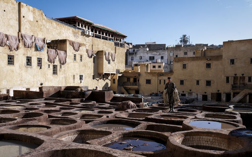 Photograph by Hany Salem