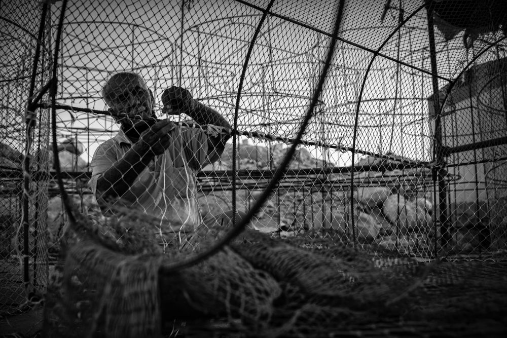 Photograph by ho3in afroozeh