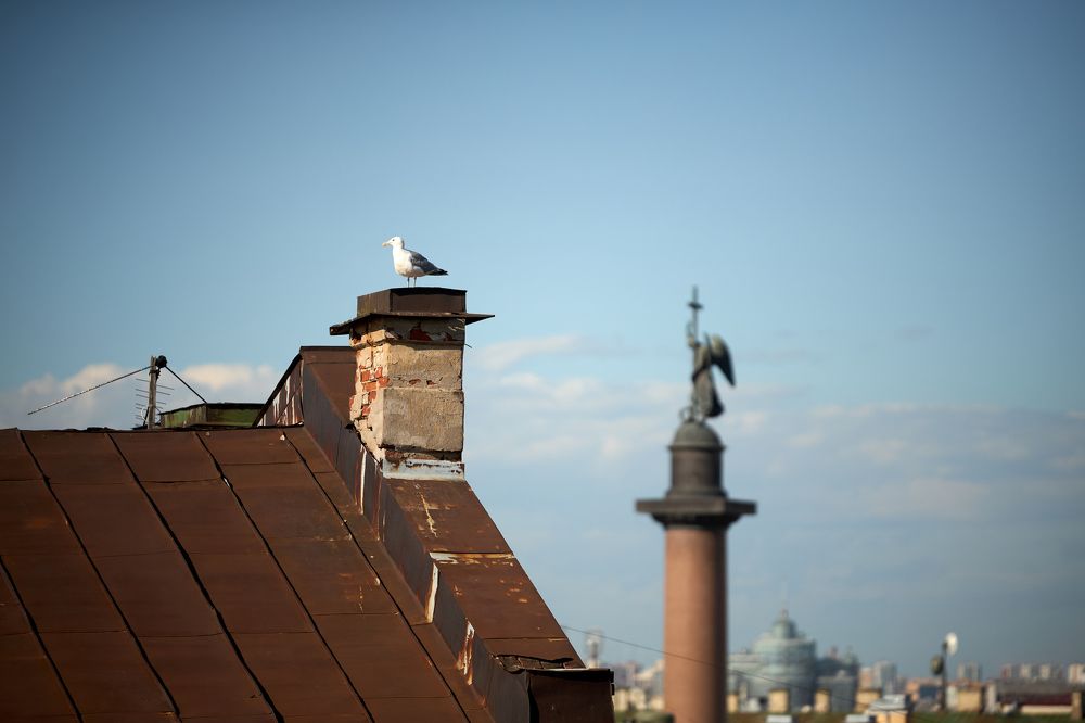 Photograph by Игорь Сапронов