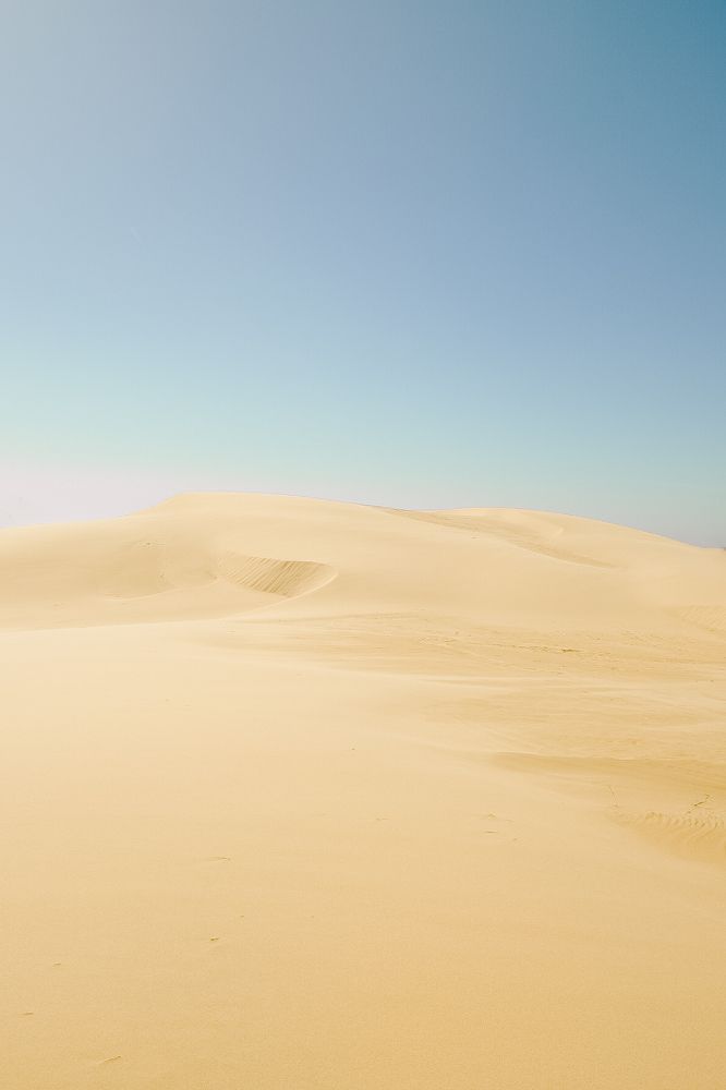 Photograph by Lsonina