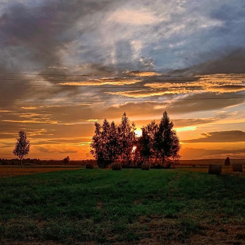 завораживающий летний закат