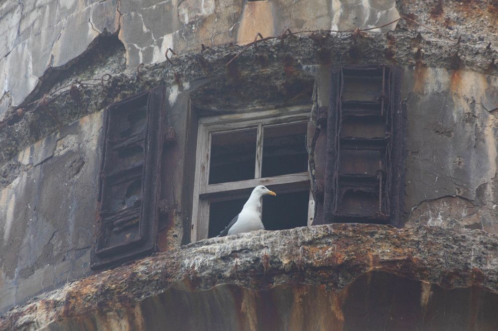 Photograph by Svetlana Porokhovnikova