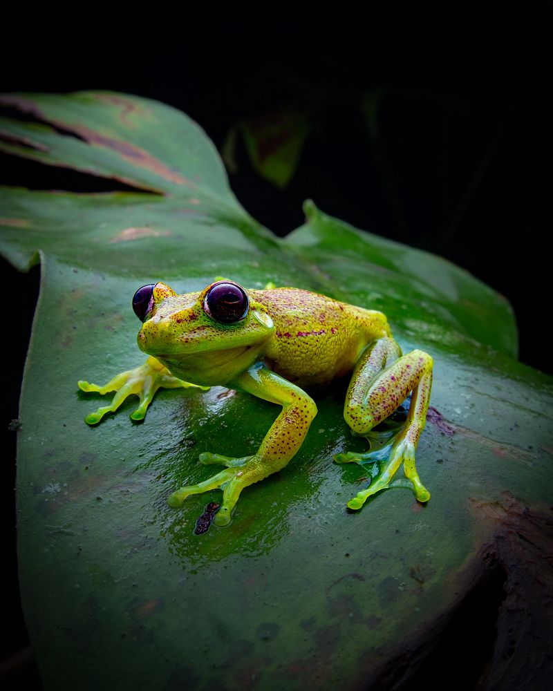 Photograph by Arjun E.V