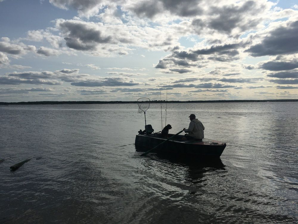 Двое в лодке, считая собаку.