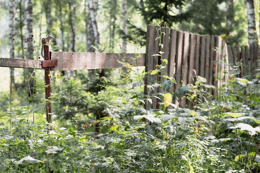 Photograph by Светлана Андреева