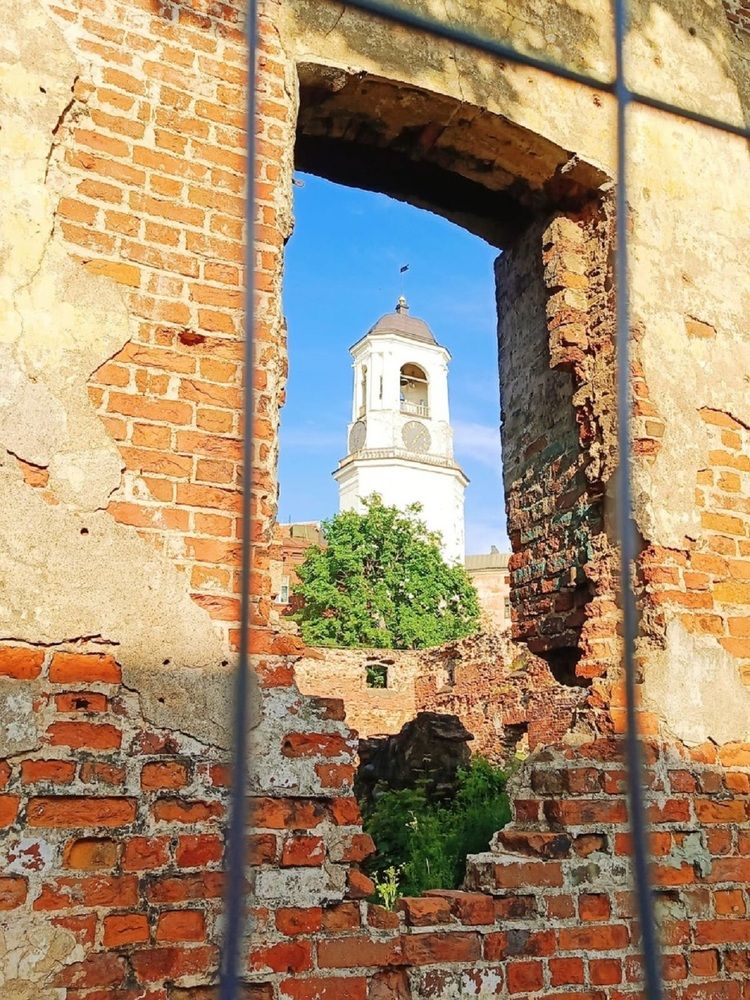 Где? Где? В Выборге