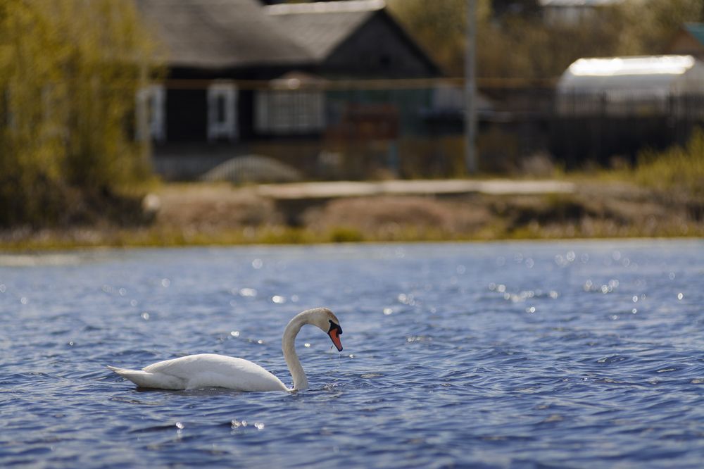 Photograph by Олег Бережных