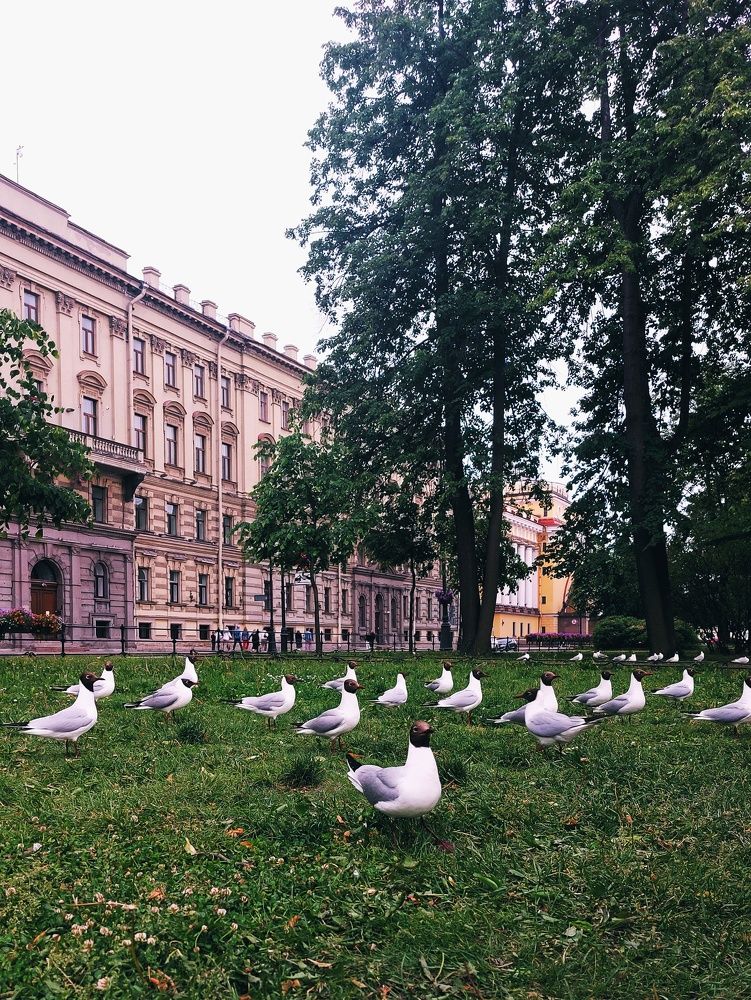 Photograph by Анна Швецова