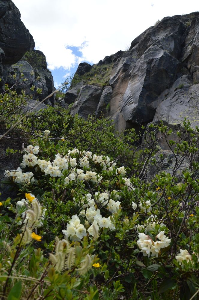 Photograph by Ольга Шевцова