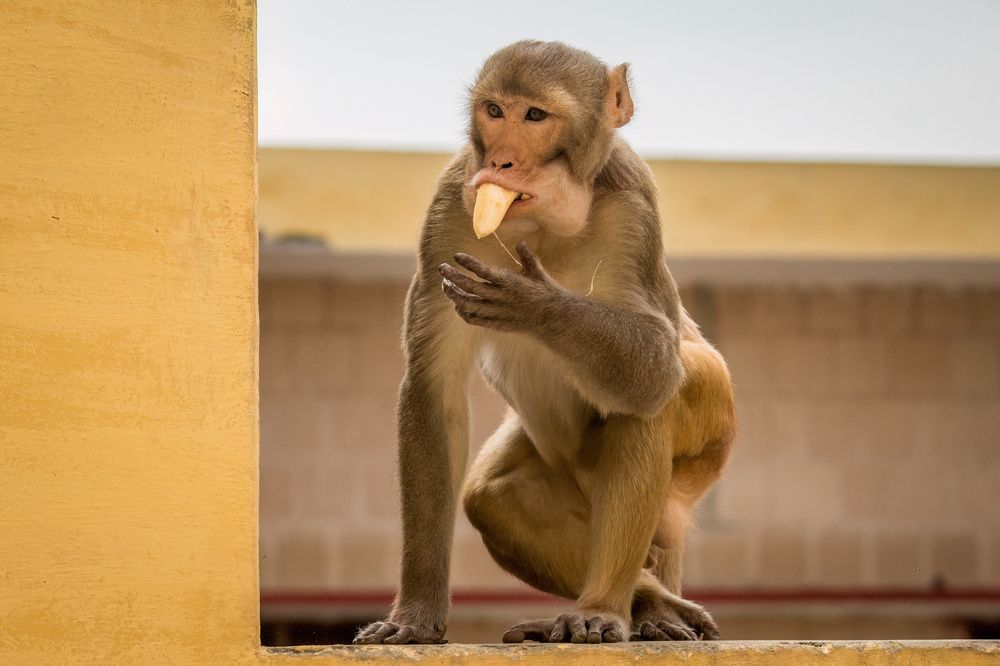 Photograph by Anshuman Tiwari