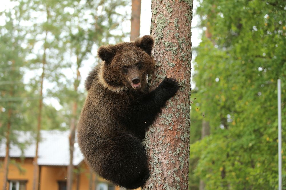 Photograph by Юрий Кетель