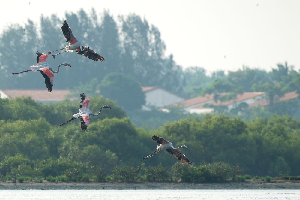 Photograph by Arnold Judson Samuel