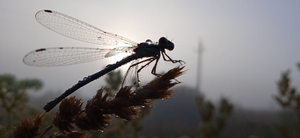 Photograph by Евсеева Валентина