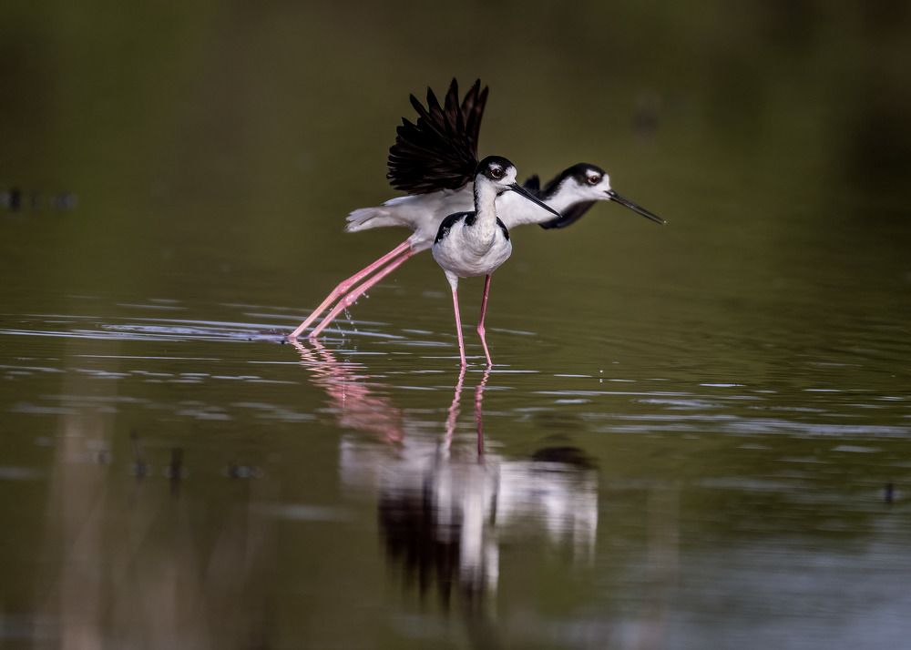 Photograph by Rose-Anne Reyes