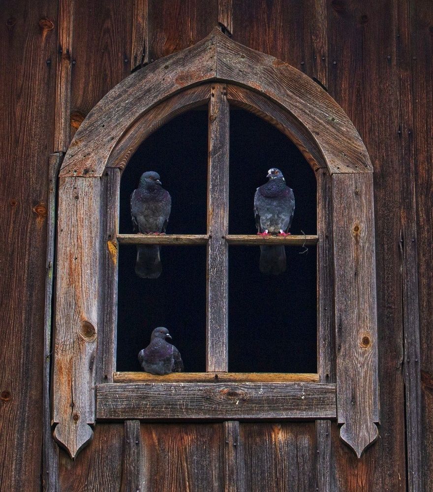 Photograph by Leanid Kulpo