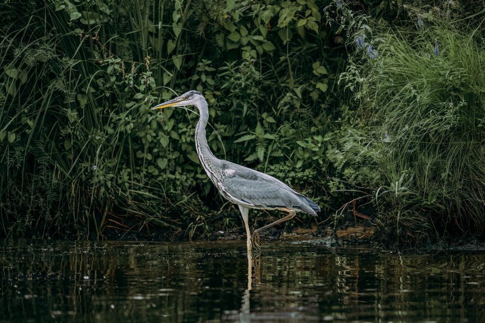 Photograph by Михаил Харитонычев