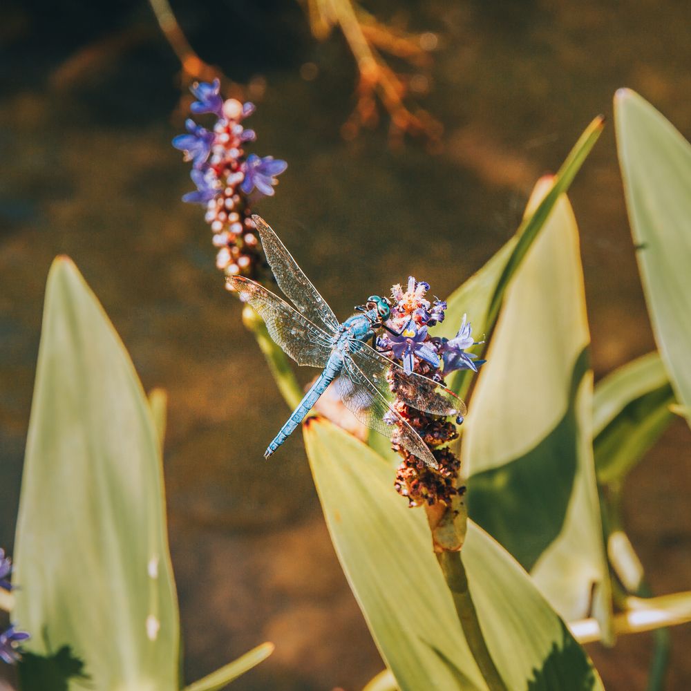 Photograph by Даниил Петруненко